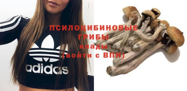 дживик Армянск