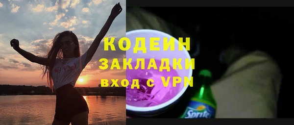 ГАЛЛЮЦИНОГЕННЫЕ ГРИБЫ Костерёво
