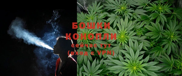 соль ск Аркадак